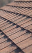 Roof Shingles