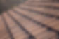Close-up of asphalt roof shingles representing residential roofing services in Burlington NC