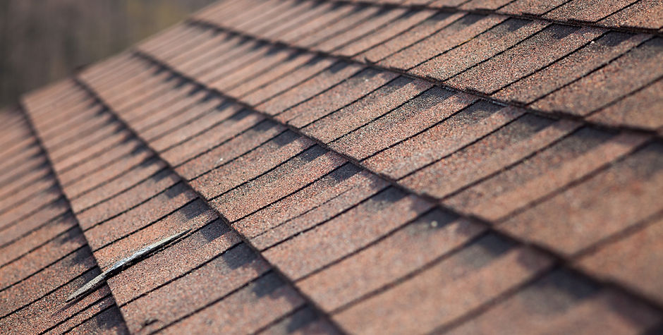 Roof Shingles