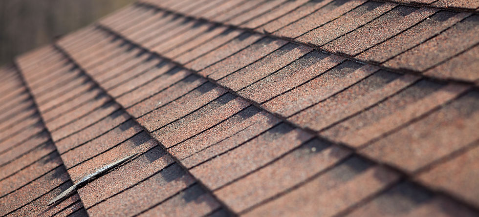 Roof Shingles