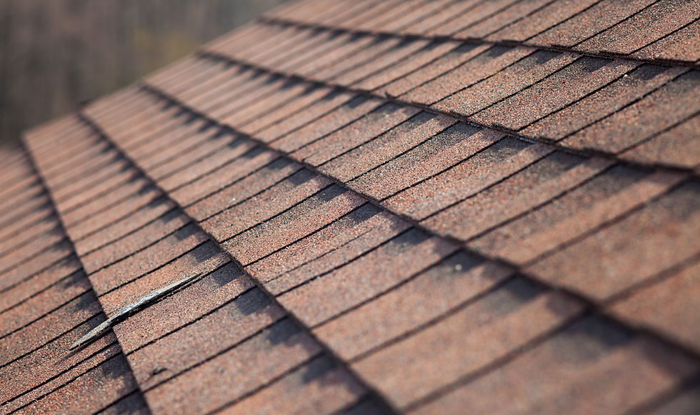 Roof asphalt shingles. Fresh roof is a roofing business specializing in alternative roofing solutions