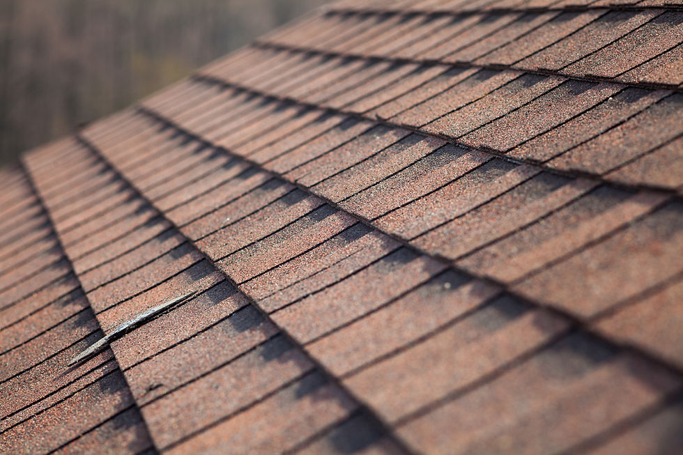 Roof Shingles Closeup