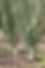 5S5A7317.jpeg