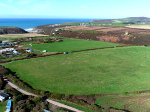 The First Seeds are Sown