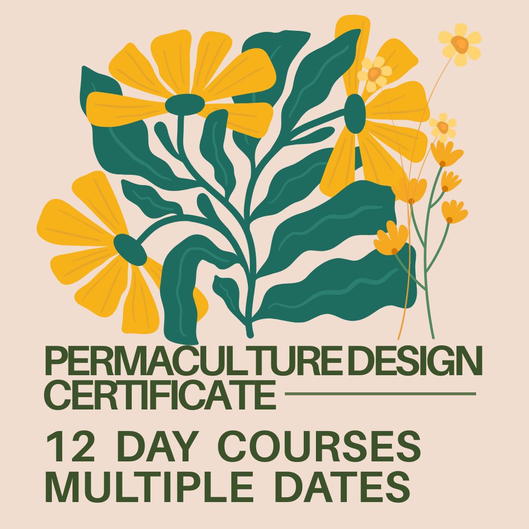 Jodie Tellam's 12-Day PDC: Community Roots 2026 Intensive