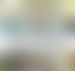 Route 1's 2019 Real Estate Trends and Marketing Report