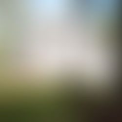 Sold! College Park Home with Renovated Kitchen