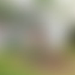 Sold!  Hyattsville Bungalow, Walk to the metro