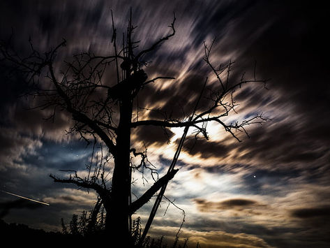 Mein Chaos im Kopf braucht viel Zeit. Prioritäten setzten fällt mir schwer. Kann sich das ändern?