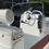 Miniatura: AQUABAT SPORT INFINITY 20 WA LUX  WHITE Collezione 2025  Honda 40 CV