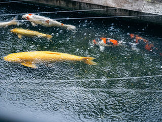 お念仏と共に、明るい人生を歩む