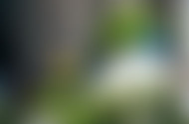 漸く春休みが明けたか