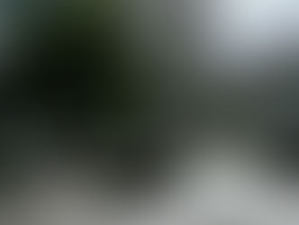 もっと人間を理解したい
