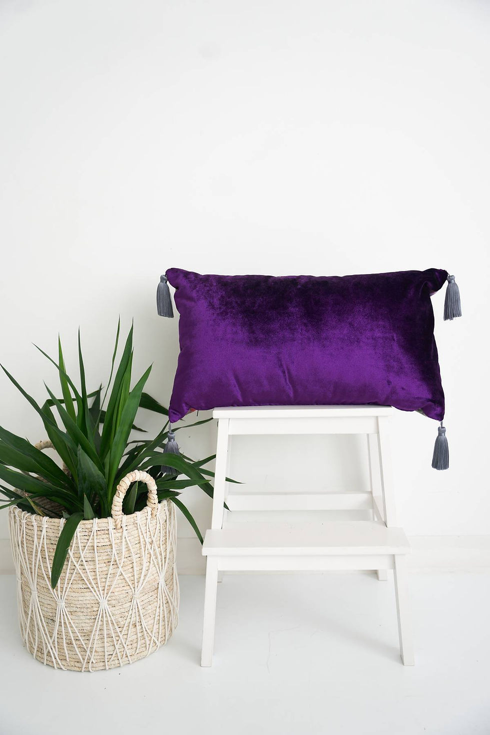 Still Life Red/White Flower Back