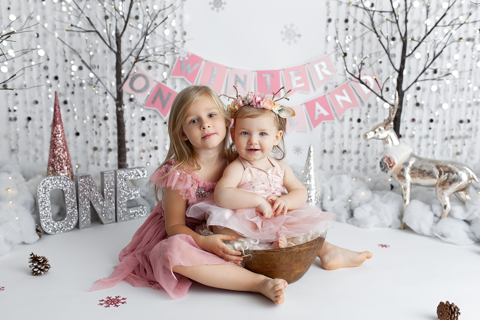 WINTER ONEDERLAND SMASH SESSION | HAMILTON ONTARIO CAKE SMASH SESSION | PHOTOGRAPHER IN HAMILTON ON