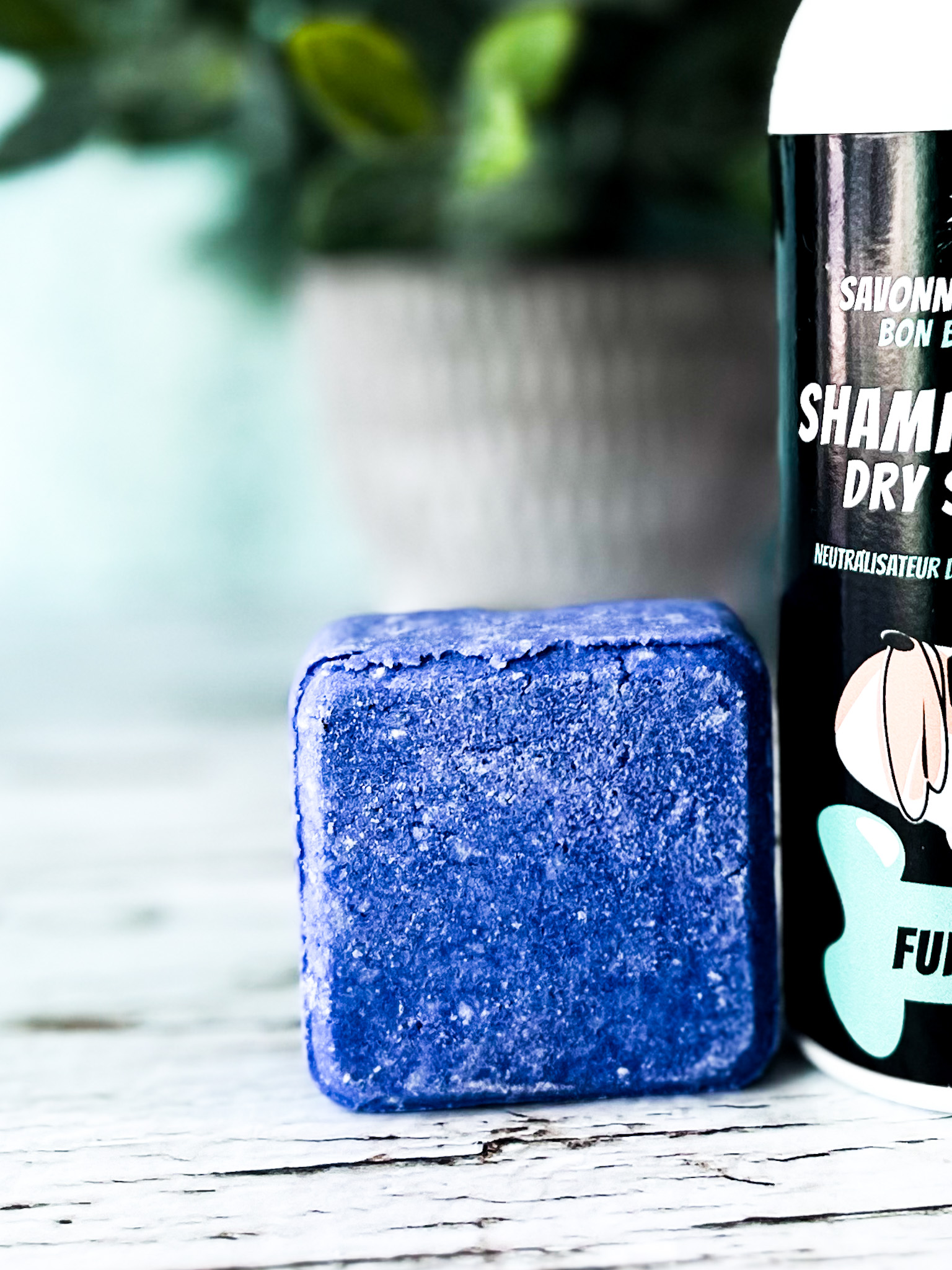 Funkie Paw - Shampoing pressé pour chien