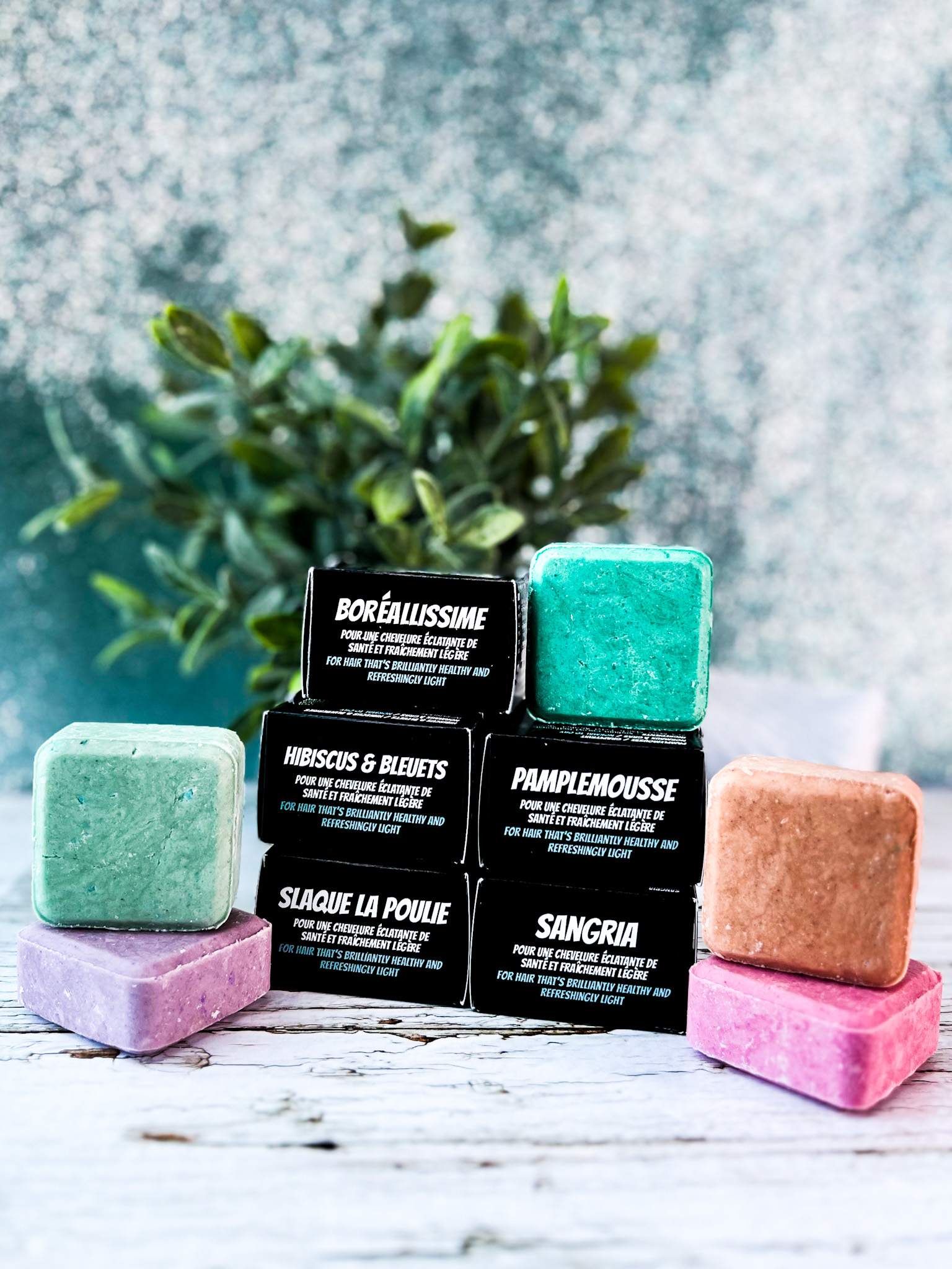 Shampoing solide en barre régulier - Normaux à gras