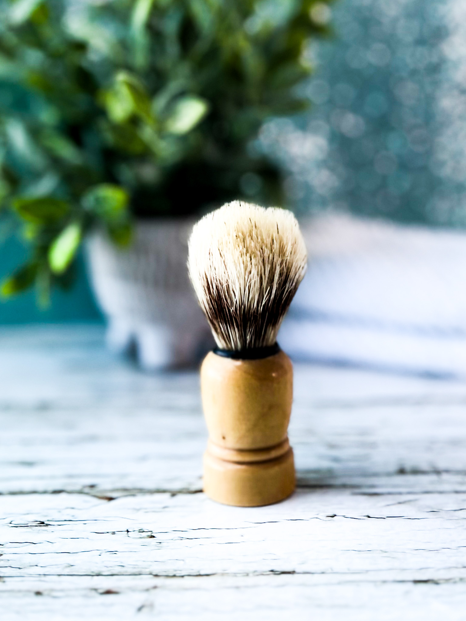 La Barbe - Le Blaireau indispensable