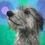 Thumbnail: Pet Portrait Commision 9"x 9"