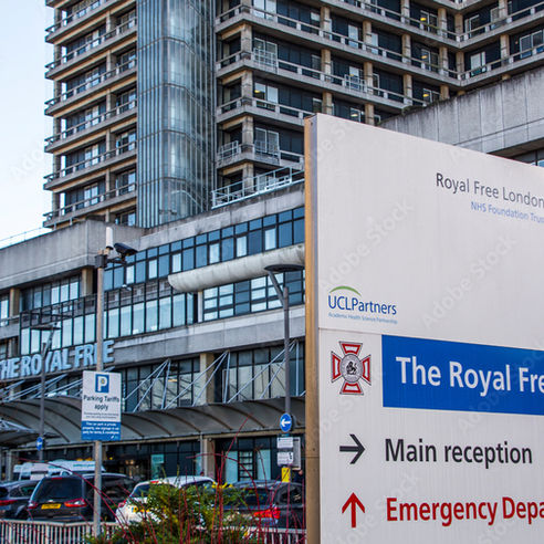 PADS Group providing a hospital scaffolding service