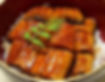 UNAGI DON