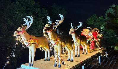 Santa on the Roof4.JPEG