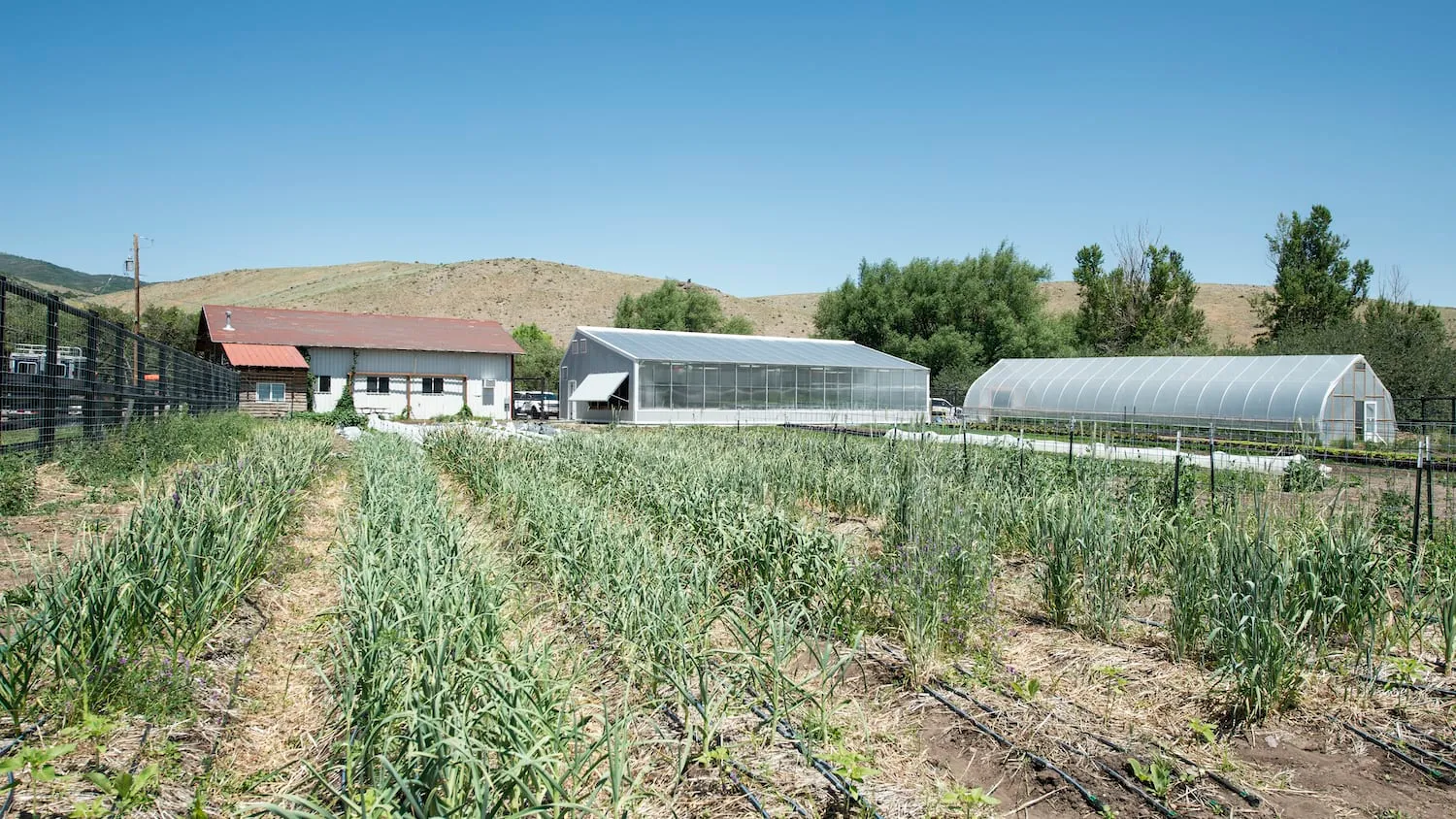 bsk-graciesfarm-slider3.webp