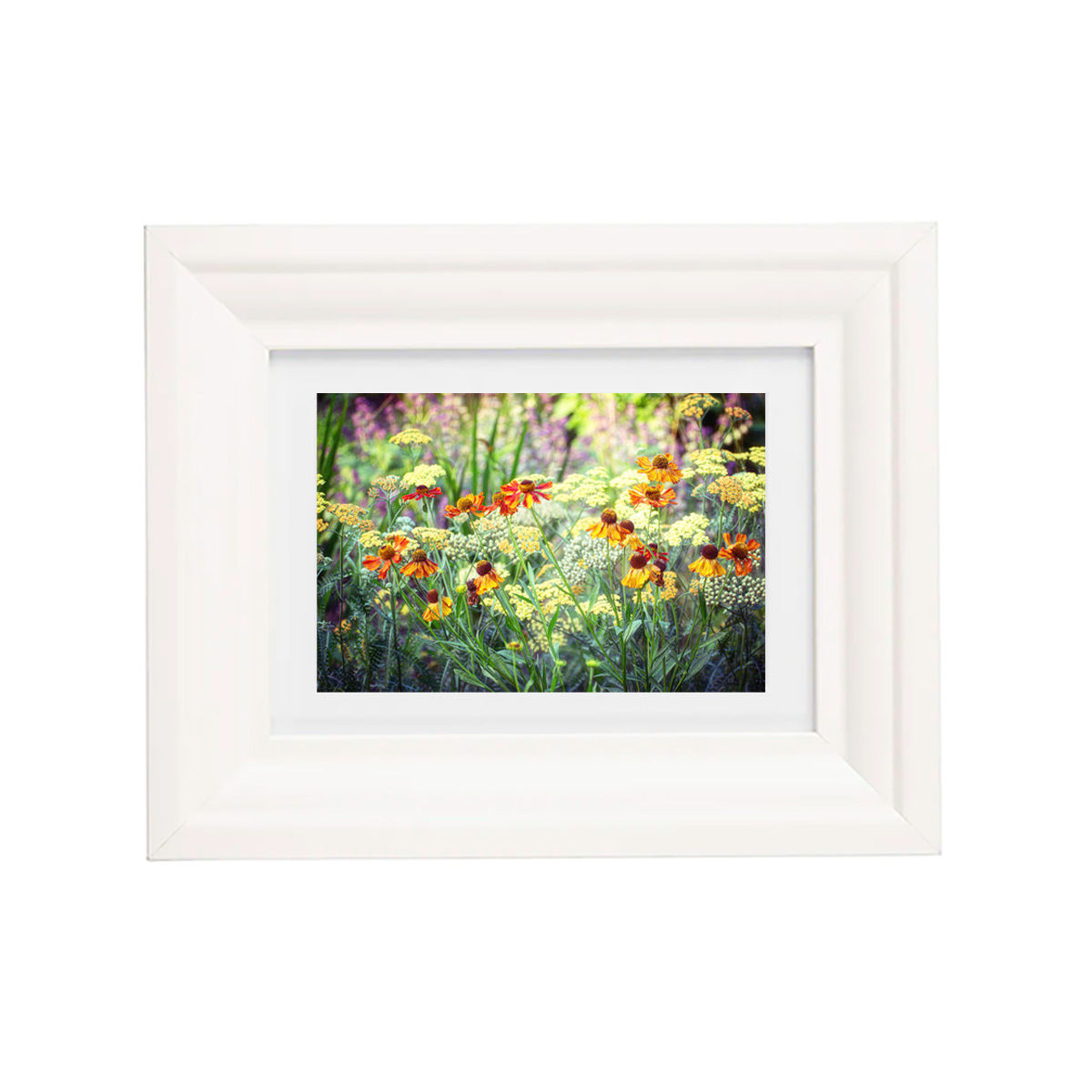 Orange flowers photograph, showcased in a white frame. Special autumn image. 
