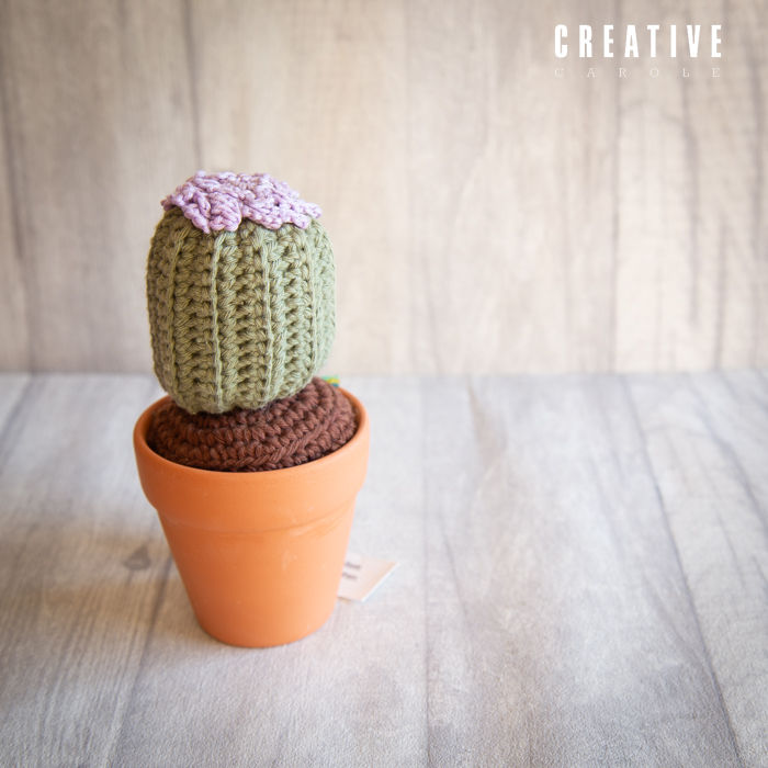 Thumbnail: Crochet Cacti