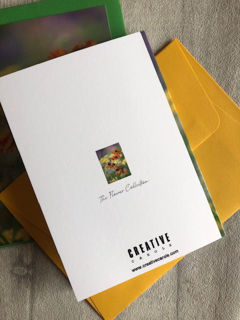 Thumbnail: photographic a6 greeting cards orange flower, back of card.