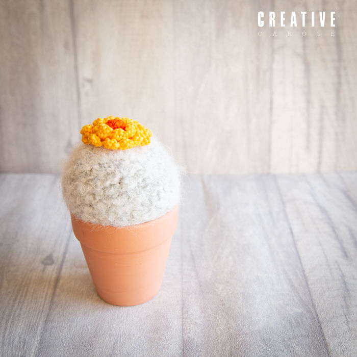 Thumbnail: Crochet Cacti