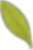 blad 3.png