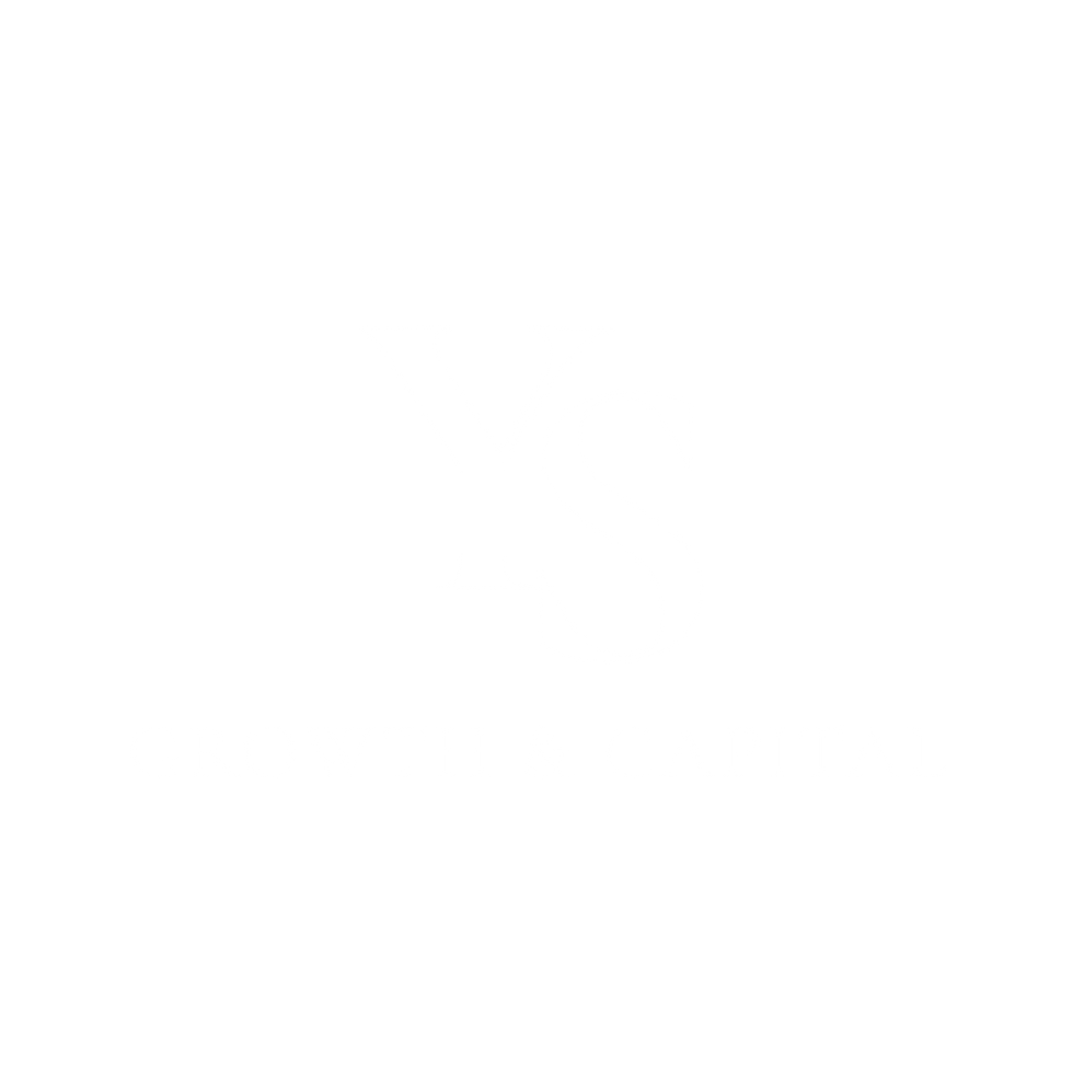 YS (3).png
