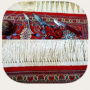 IMG_5210.PNG
