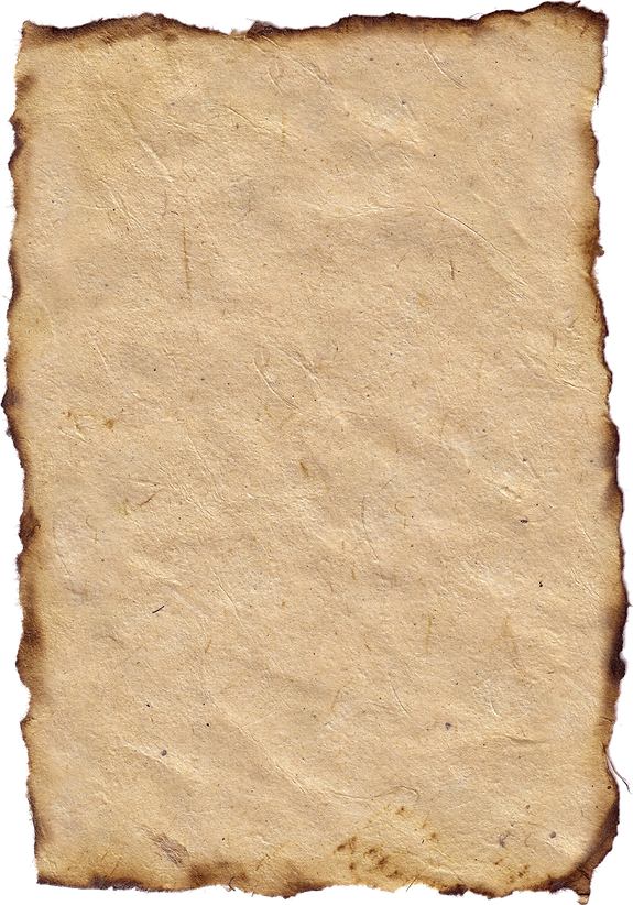 pngwing.com-3.png