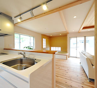 Modern Open Kitchen