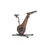 Thumbnail: NOHrD Indoor Bike Walnut