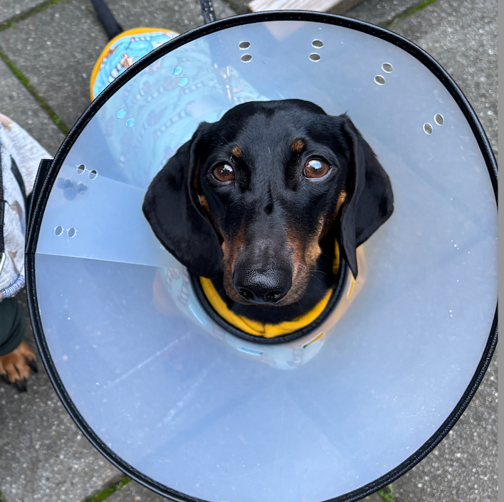 George and his painful skin condition - case study