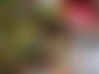 iMercados adjudicataria del estudio de viabilidad para la remodelación del Mercado de Abastos de Irun