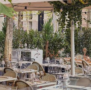 Alegaciones al borrador de la nueva ordenanza de terrazas del Ayto. de Madrid