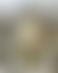 Marvelous Mrs. Maisel-Themed Passover Seder