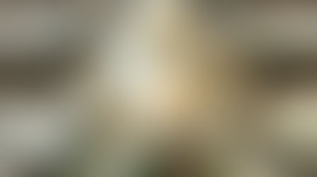 Marvelous Mrs. Maisel-Themed Passover Seder