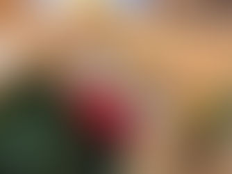 “フードバンクみつけ”さん　ありがとうございます