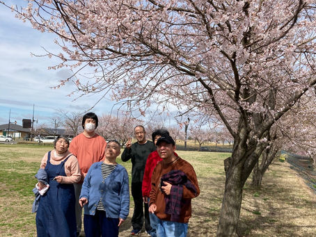 “パティオでお花見、志保の里荘でくつろぎ”