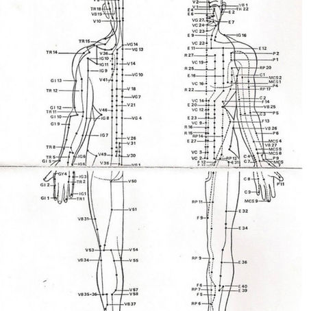 Les méridiens de la médecine traditionnelle chinoise