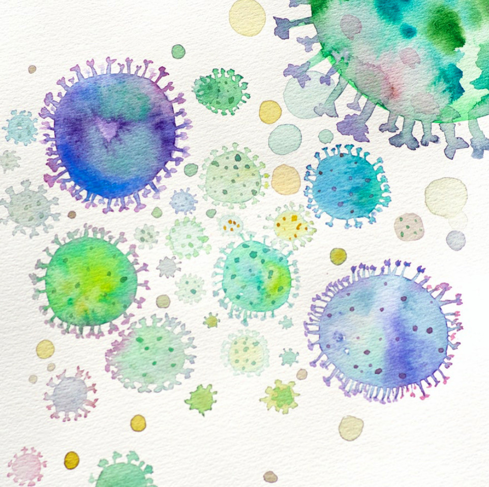 Une bactérie est un procaryote qui peut se reproduire seule. A contrario, le virus n’est pas considéré comme être vivant car il ne peut se reproduire seul. Les antibiotiques sont efficaces contre les bactéries mais non contre les virus. Ils sont souvent administrés, même quand on ne sait pas précisément la nature de la maladie. Par exemple une angine est une maladie bactérienne alors qu’une grippe est une maladie virale, mais leurs symptômes peuvent se ressembler. D’autre part, l’antibiotique tue toutes les bactéries, il ne fait pas la différence entre les bonnes et les mauvaises. Or nous avons énormément de bonnes bactéries (notamment dans la flore intestinale) qui sont essentielles au bon fonctionnement du corps. Vous comprendrez pourquoi une prise répétée d’antibiotiques peut dérégler et fragiliser le système immunitaire. La chromothérapie permet de guérir les infections virales ou bactériennes sans les effets néfastes des antibiotiques. Elle permet également de renforcer le système immunitaire notamment avec la chromopuncture basée sur les principes de la médecine traditionnelle chinoise.