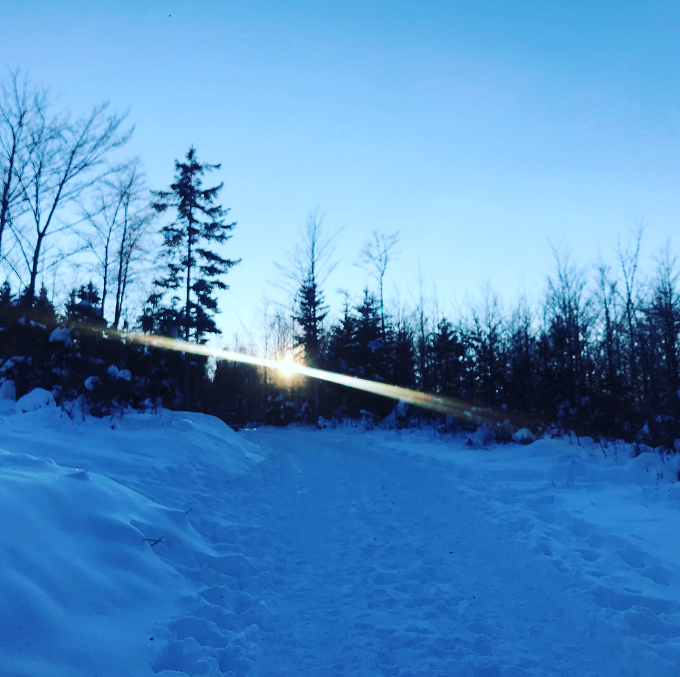 L’application de la luminothérapie, qui est la plus documentée scientifiquement, concerne la dépression saisonnière. Ce syndrome apparaît à l’approche de l’hiver, à mesure que diminue la clarté extérieure, et a un effet néfaste sur l’horloge biologique interne de certaines personnes. La luminothérapie est un traitement médical reconnu pour combattre les symptômes de la dépression saisonnière, qui se traduisent par un manque d’énergie, une humeur dépressive, une prise ou une perte de poids, un sentiment de dévalorisation, des troubles du sommeil (…) Lorsque la lumière pénètre dans l'œil, elle est transformée en signaux électriques qui, envoyés au cerveau, agissent sur des neurotransmetteurs. Un de ceux-ci, la sérotonine, souvent appelée « l’hormone du bonheur », régularise l’humeur et gouverne la production de la mélatonine, responsable des cycles éveil-sommeil. Pour prévenir ou soigner les symptômes de la dépression saisonnière, je propose une cure « énergie au quotidien » en cabinet et sur rdv. Des ballades dans la nature avec la lumière du jour sont tout aussi bénéfiques. Mais parfois moins compatibles avec nos horaires de travail occidentaux.