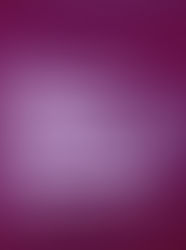 The Best DIY Food Experiences in Toronto!