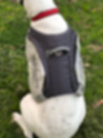 Thumbnail: Training Weight Vest