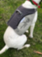 Thumbnail: Training Weight Vest